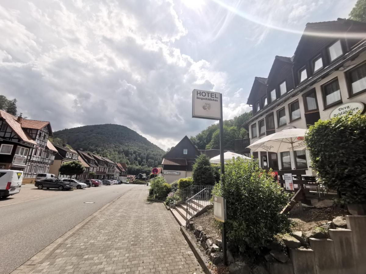 Hotel And Restaurant Bergschloesschen Zorge Ngoại thất bức ảnh