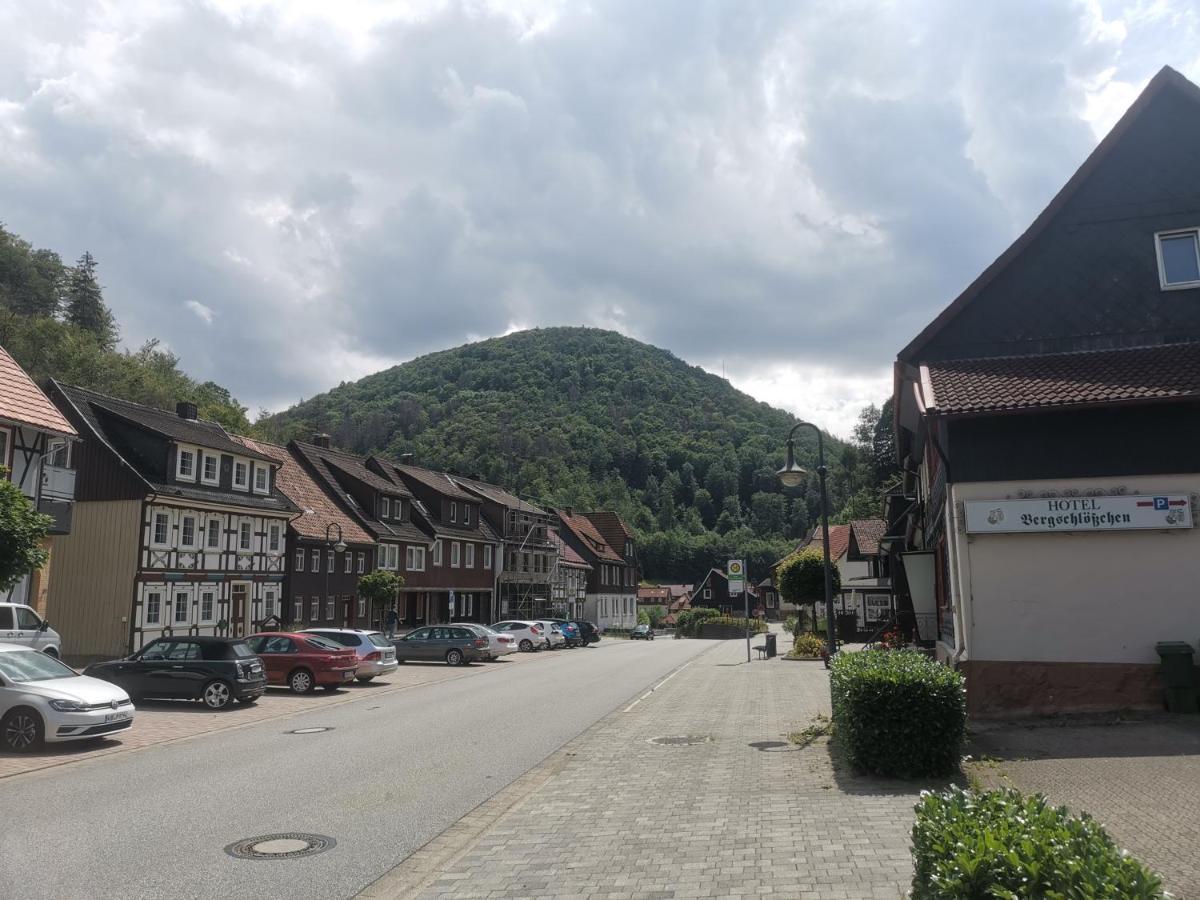 Hotel And Restaurant Bergschloesschen Zorge Ngoại thất bức ảnh